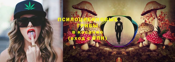 дмт Переславль-Залесский